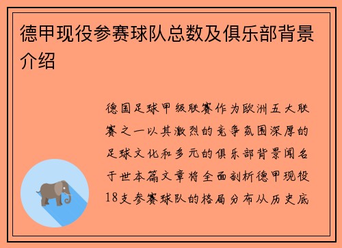 德甲现役参赛球队总数及俱乐部背景介绍